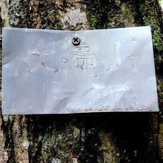 霞んでますが、大滝山と書いてあります