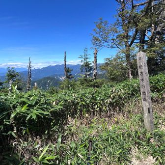 摺古木山頂に着いた頃には
