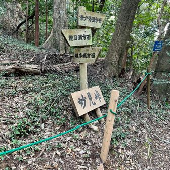 ここから東坂コースに入ります