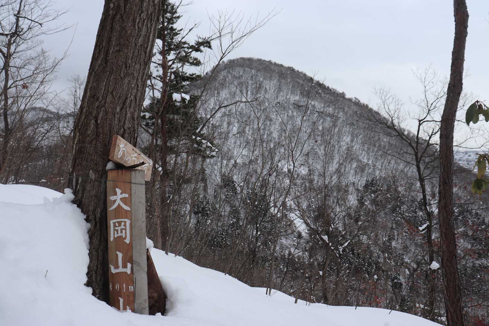 小菰石山-大岡山 往復コースの写真