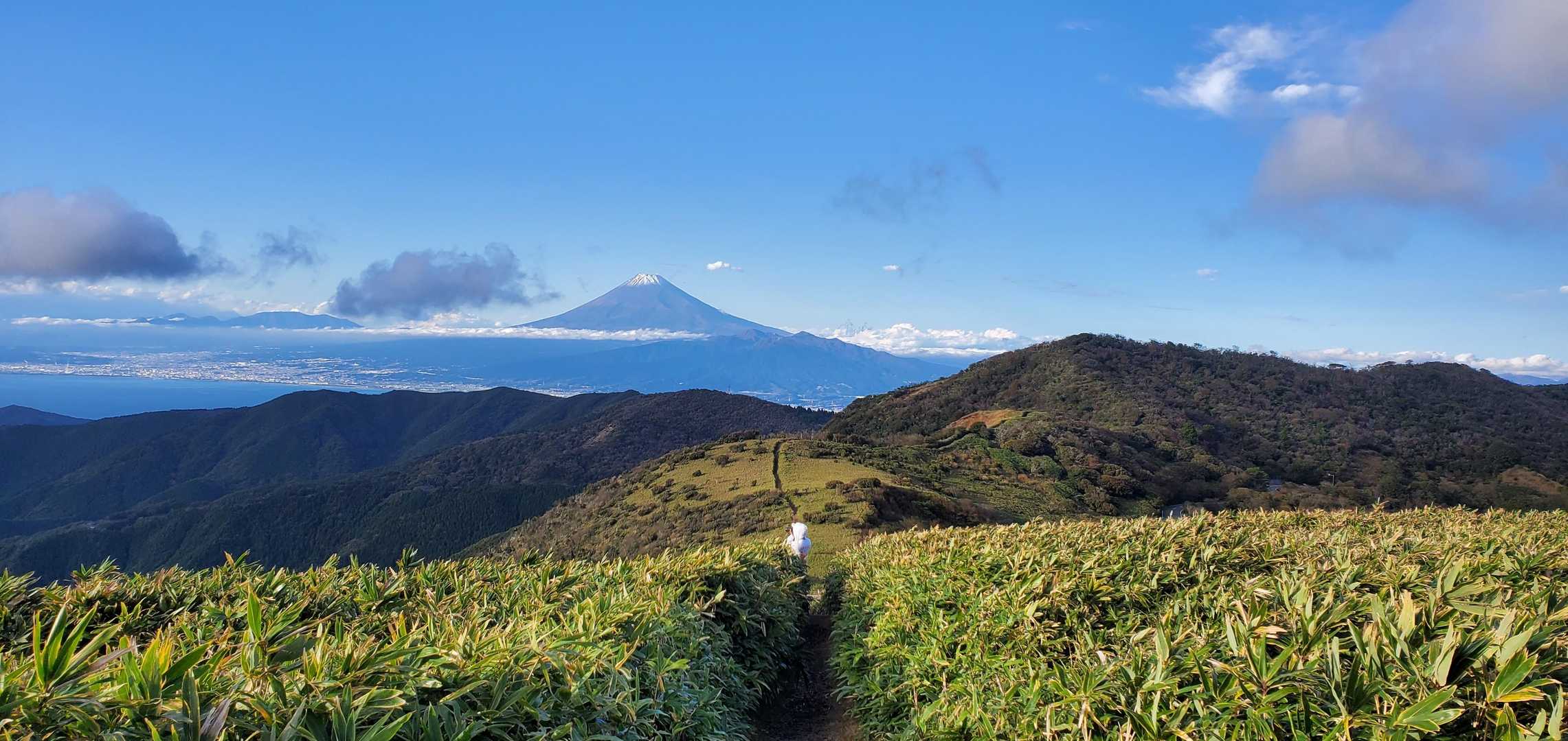 だるま山高原-金冠山-達磨山 往復コースの写真