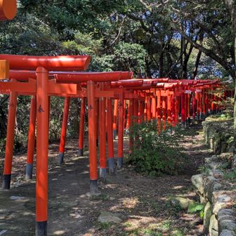稲荷社の赤鳥居