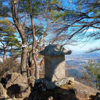 先週その先へ下れなくなってた地点を通過し、無事答え合わせが完了。ほどなくして愛宕山にとーちゃく！