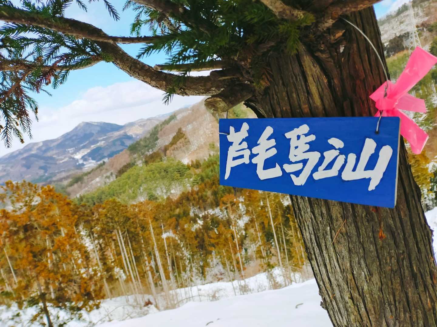 プレート😄