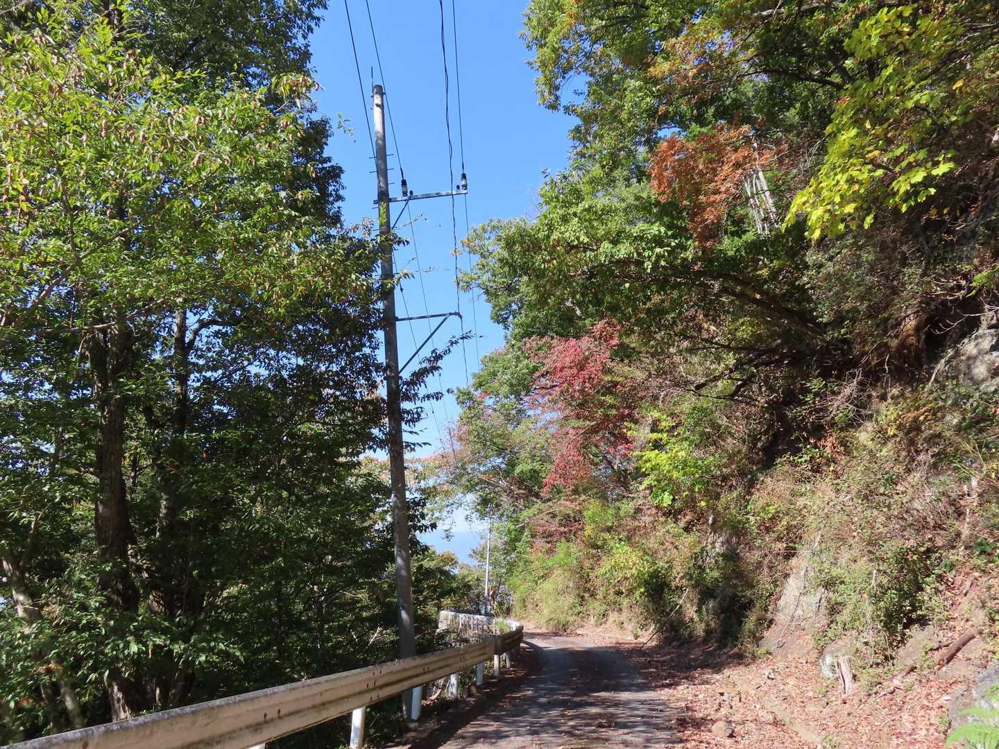 車道歩きも気持ちが良かったです。