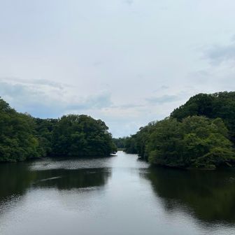 スーパー涼しい､､､