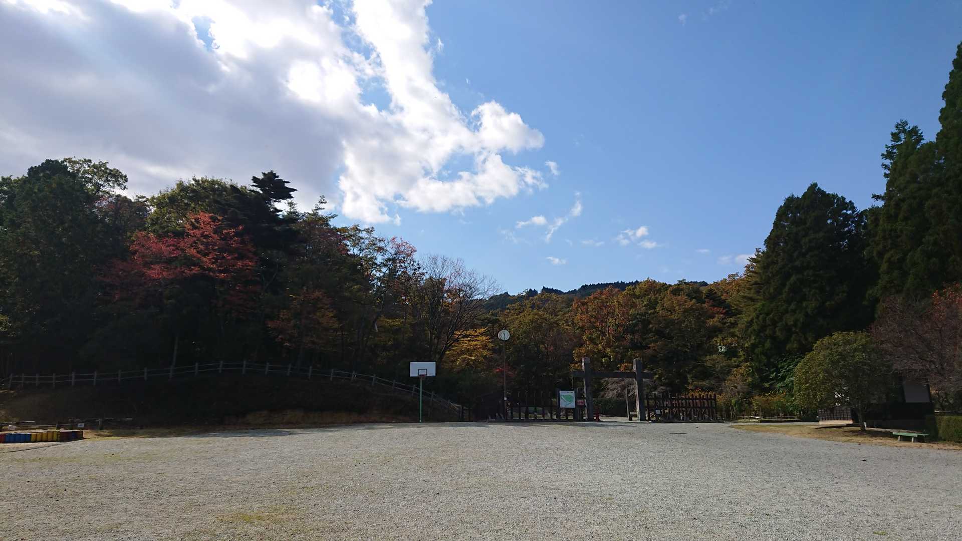 鳥越峠-深山 往復コースの写真