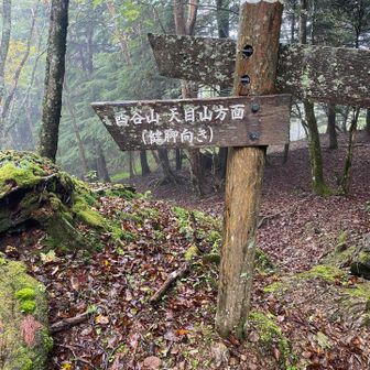 健脚向きというか、なんというか、、ルーファイ好き向き？