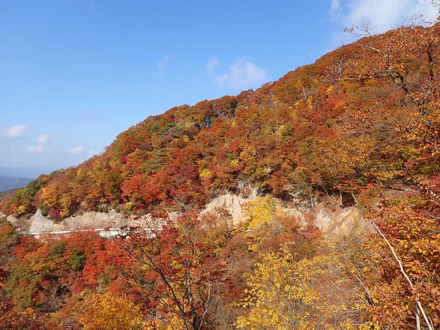 第二登山口-菅谷峠-ホノケ山-高頭山 往復コースの写真