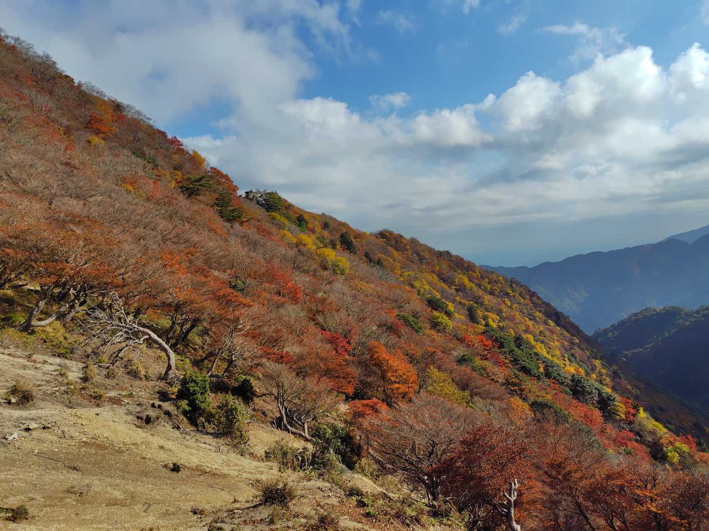 釈迦ヶ岳-猫岳 周回コースの写真