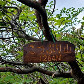こつぶり山に来た(*ﾟ∀ﾟ*)
ここの方が取立山より
休む所は、広いが、
やっぱり取立山に〜🚶🏻