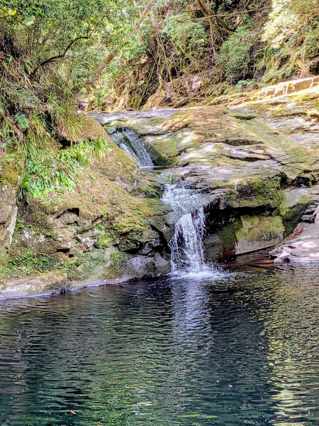【赤目四十八滝】数々の滝・岩・淵が連続する変化に富んだ山歩道の写真