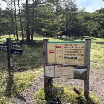 湯の平分岐