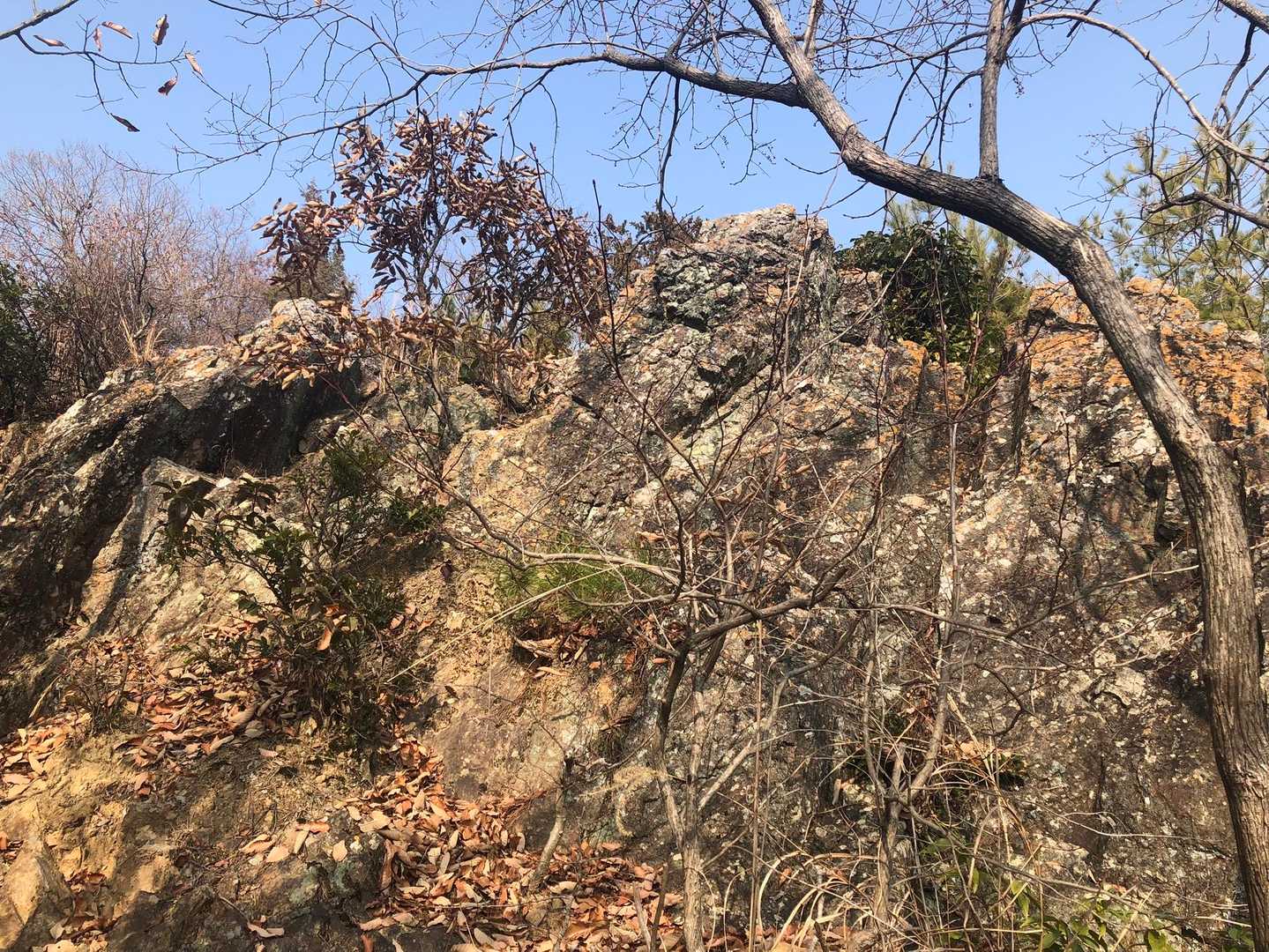 八丈岩山 往復コースの写真