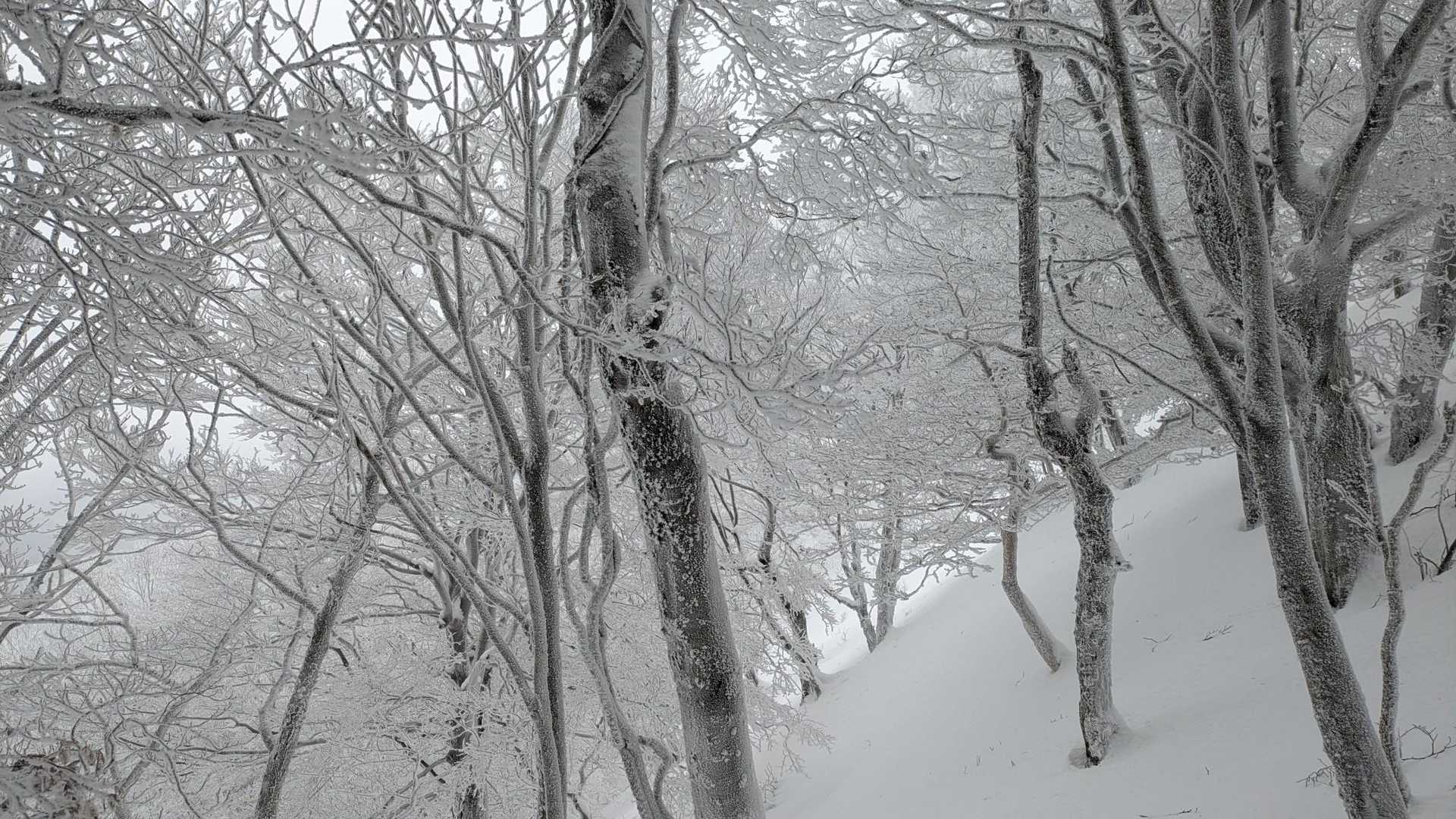 高見登山口→山頂→平野バス停　周遊コースの写真