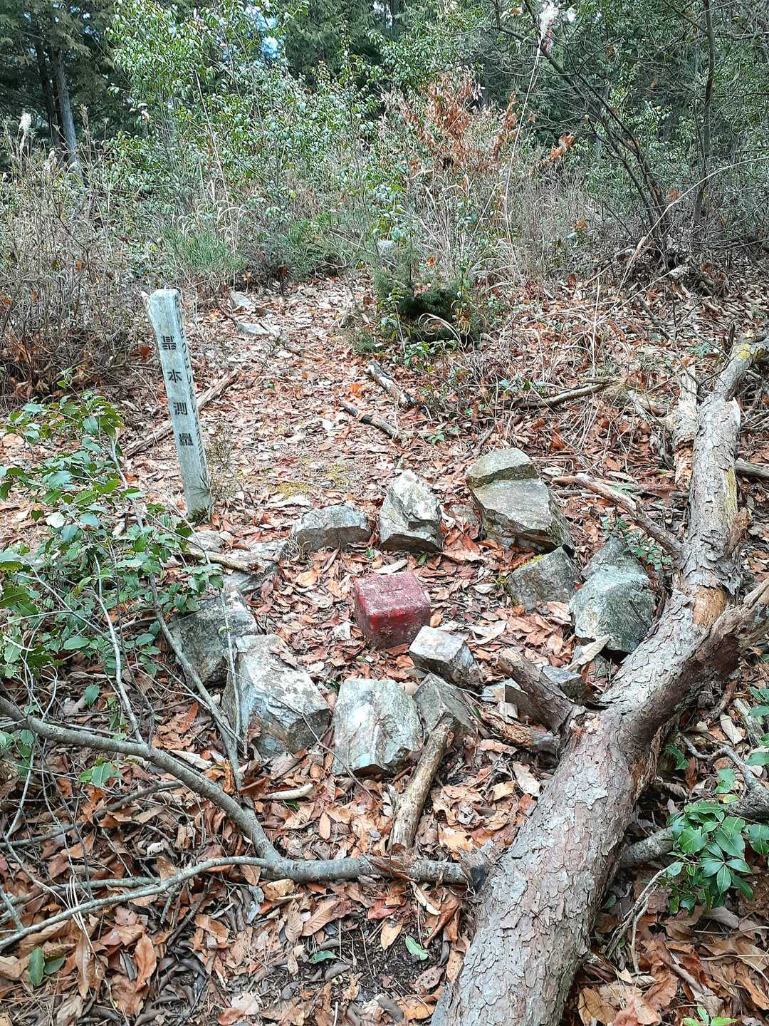 三角点