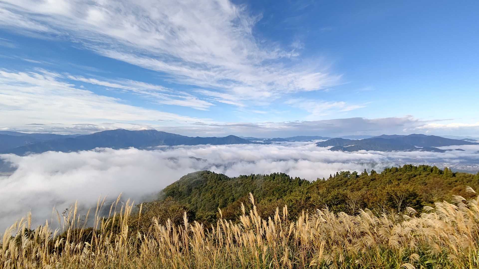 展望台登山口から。
最初からクライマックス。
