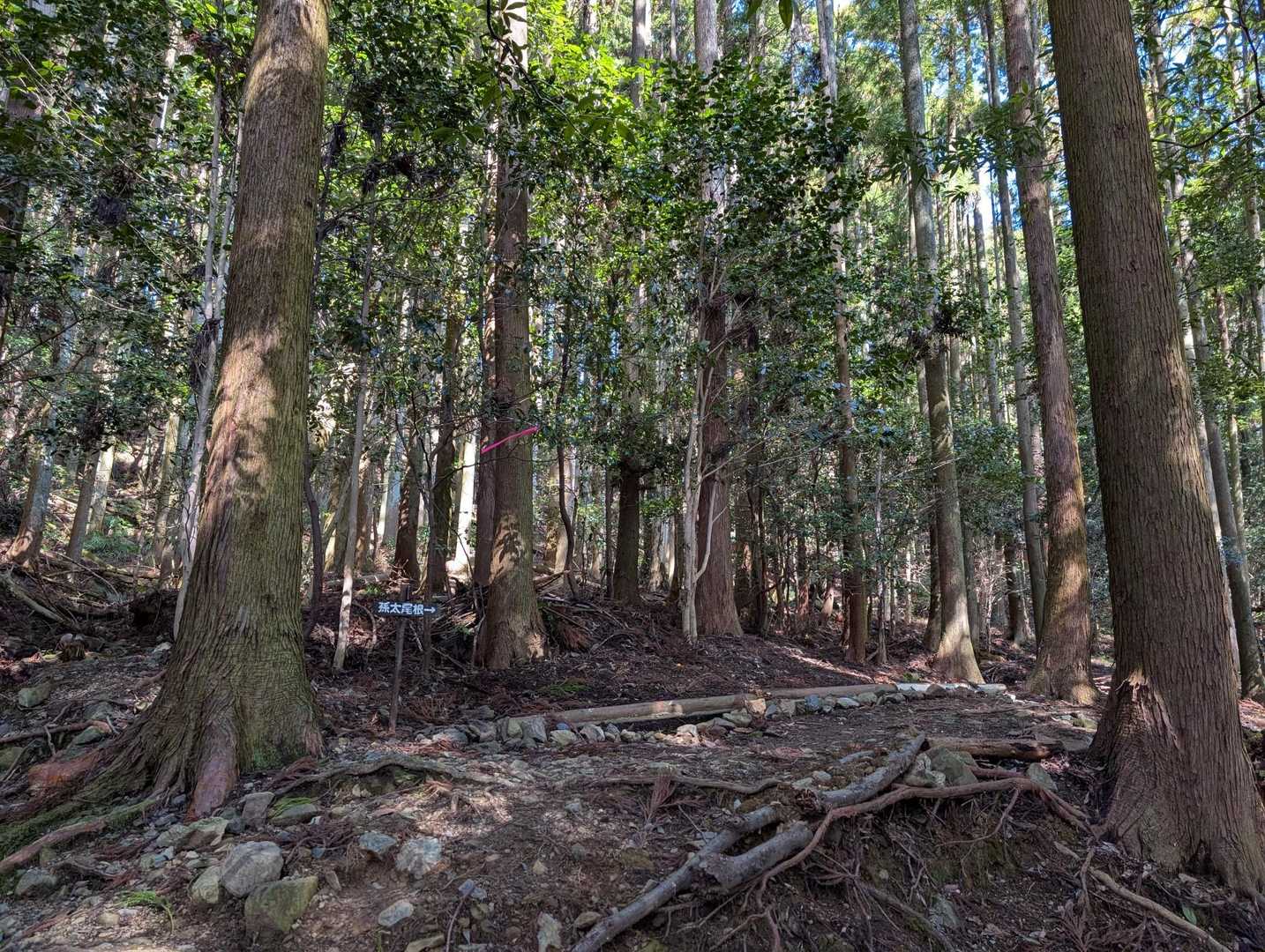 孫太尾根へ