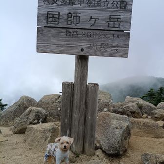 ふたつめ！
