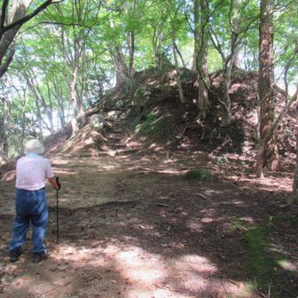 何とか飯盛山まで登れてうれしいよ