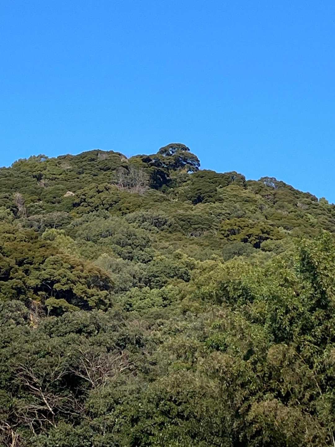 バイバイ⛰