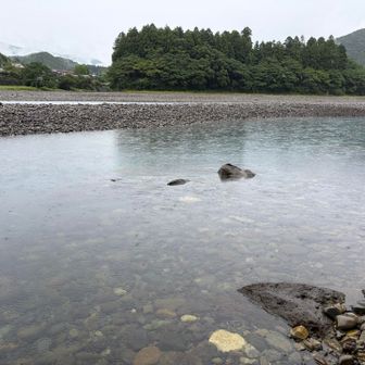 ついに熊野川に触れる。
雨の割にさほど増水はなく渡渉出来そうでしたが連日の雨でできた足のマメが痛いため水垢離は断念して迂回することに。