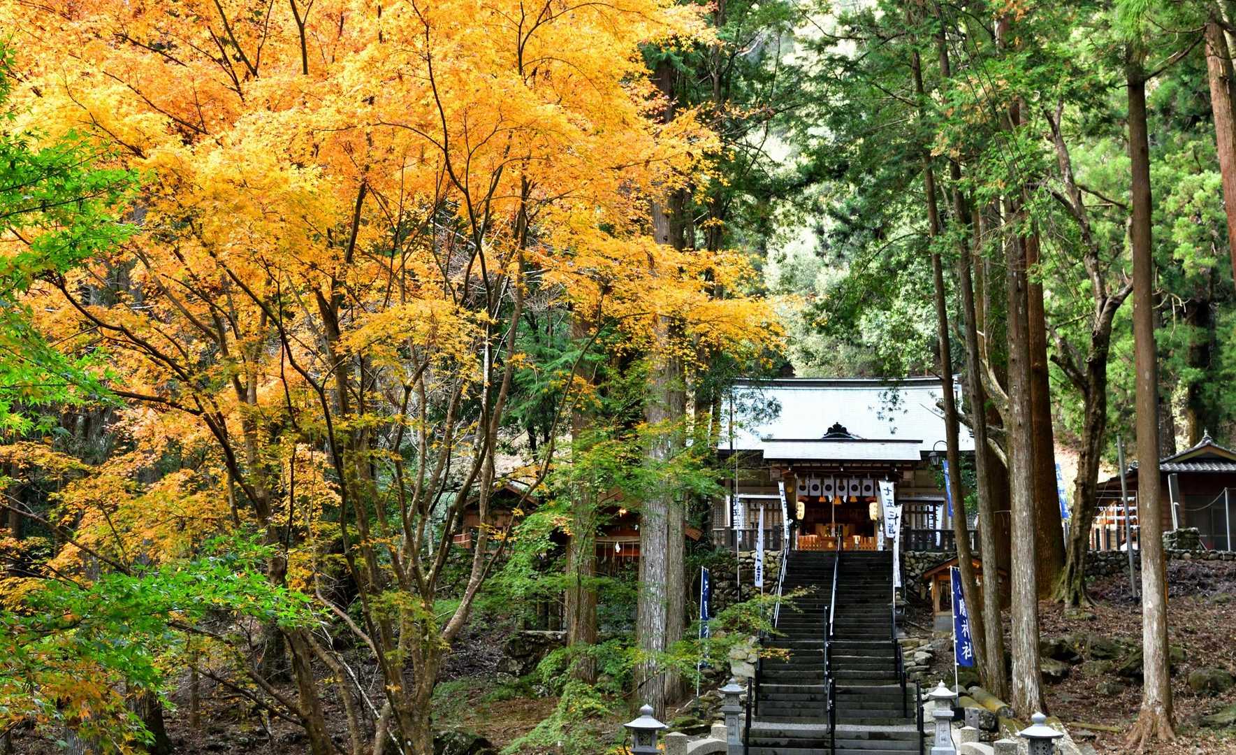 行縢神社と紅葉です。
