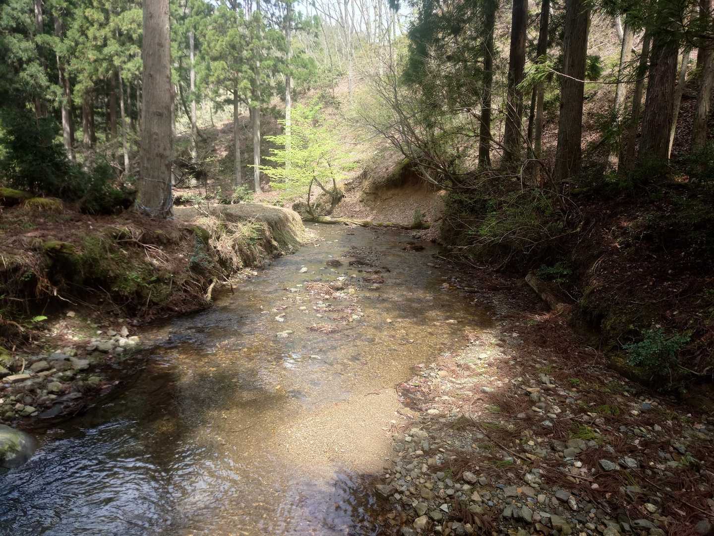 シチグレ峠-百里ヶ岳-根来坂峠 周回コースの写真
