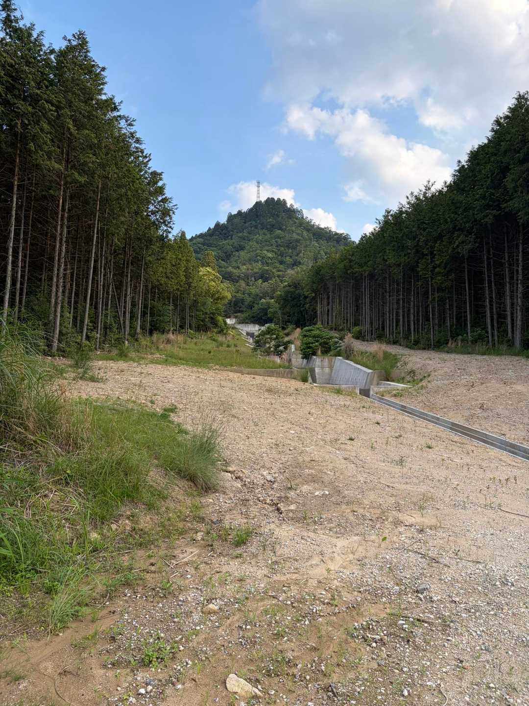 あの塔が頂上付近