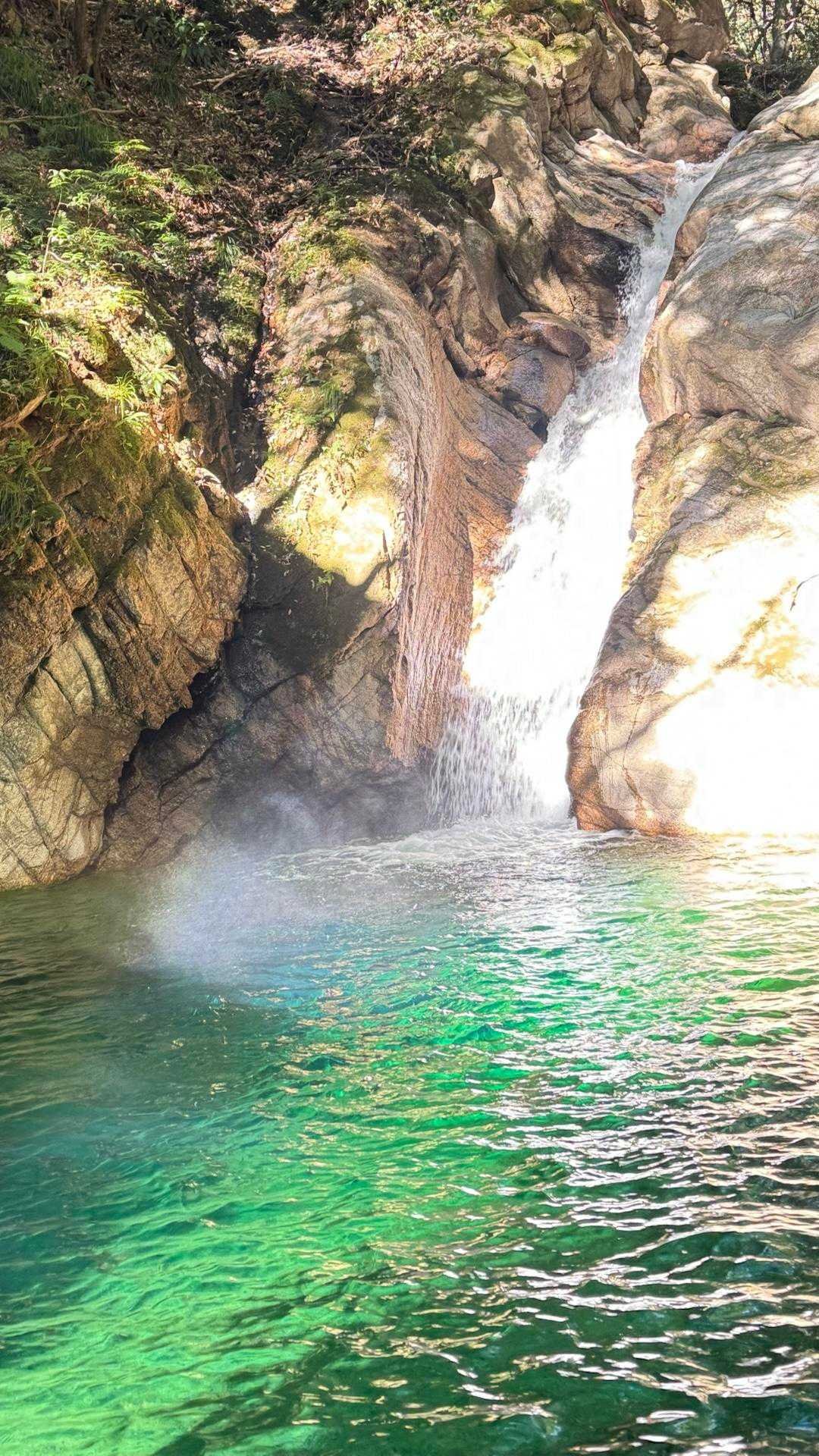 仙ヶ岳 往復コースの写真