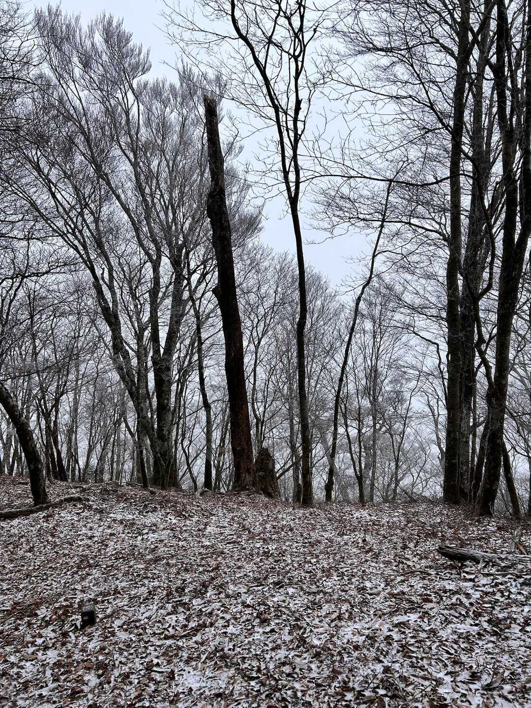 寒いぞ🥶−5℃‼️風が強いから、体感は−10℃くらいかも。早く移動しよう‼️