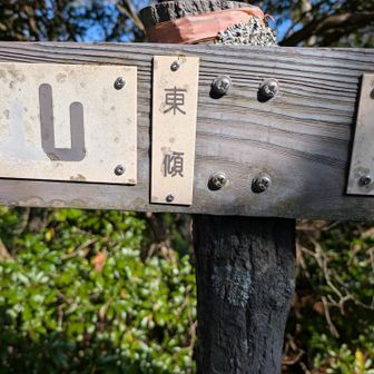 遠すぎてびびった