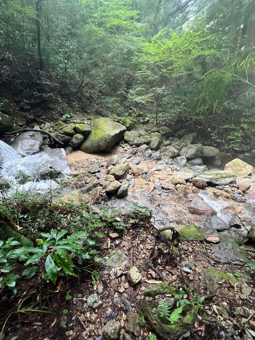 今朝までの雨で渡渉を心配したけど、全く変わりなし。　よかったー