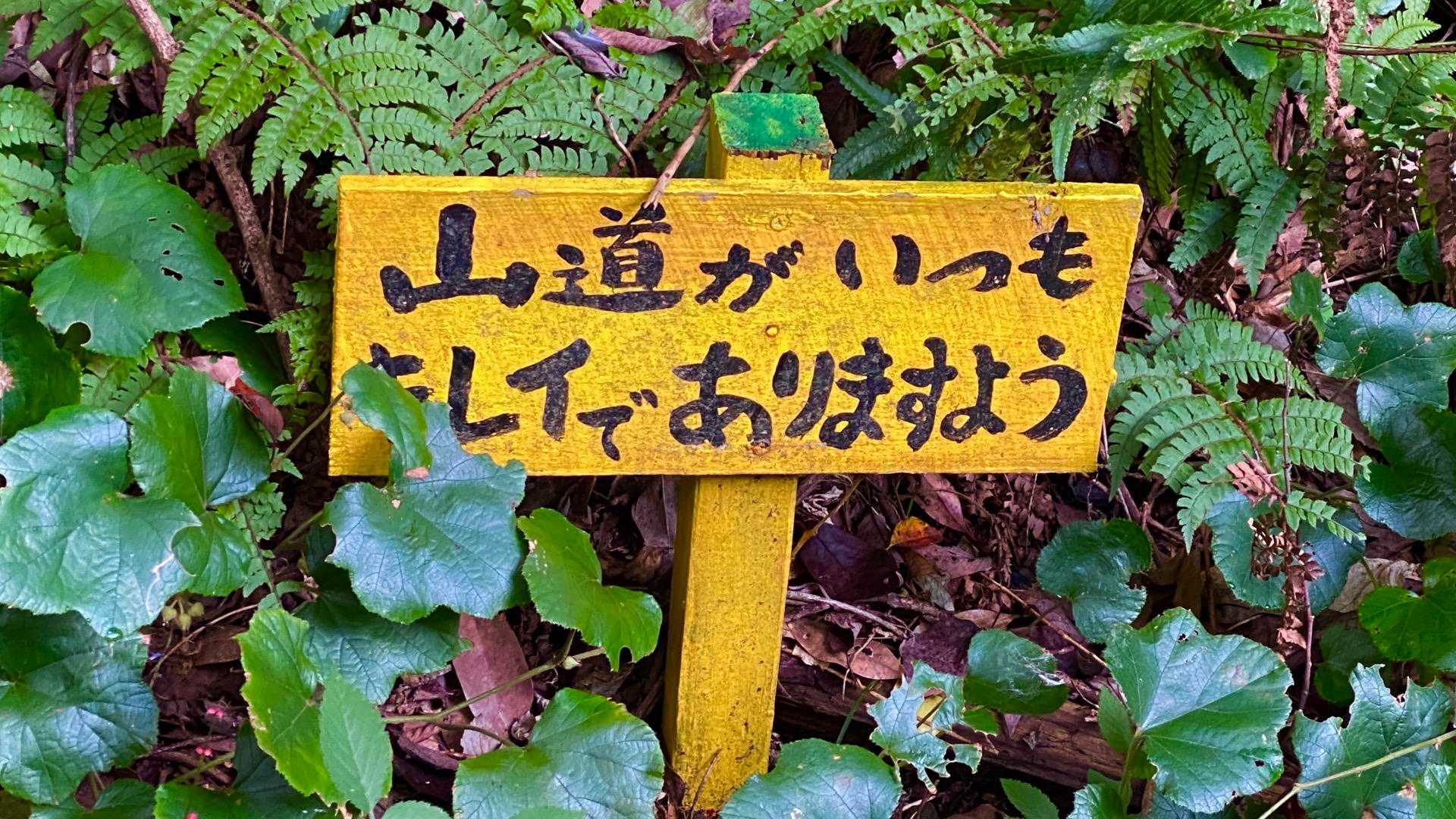 ごもっともであります！💕