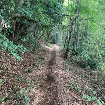 なだらかで助かります〜