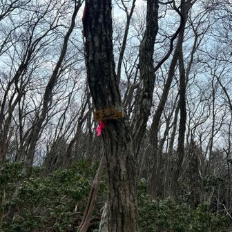 三人山の看板が可愛らしくて、一度通り過ぎてしまった🤣