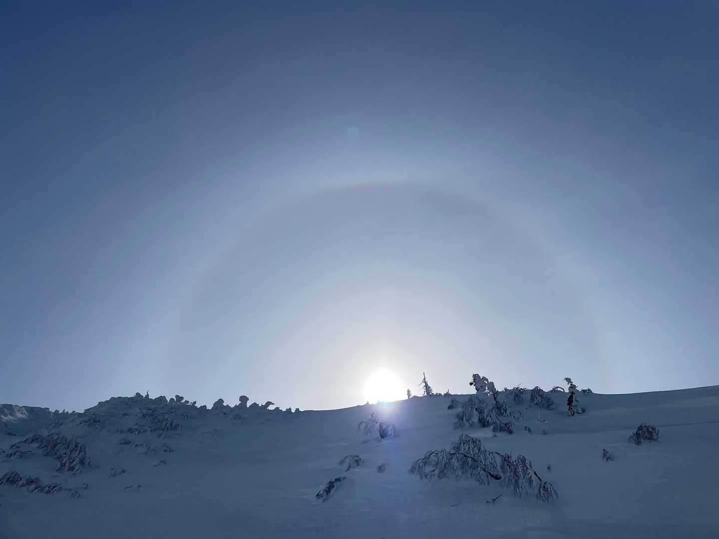 八甲田大岳登山口-小岳 往復コースの写真