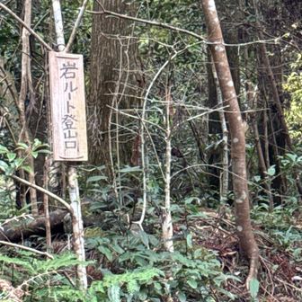 岩ルート登山口🥾まで下山し