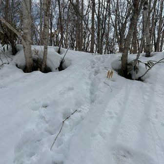 ゲレンデから怪無山への入口