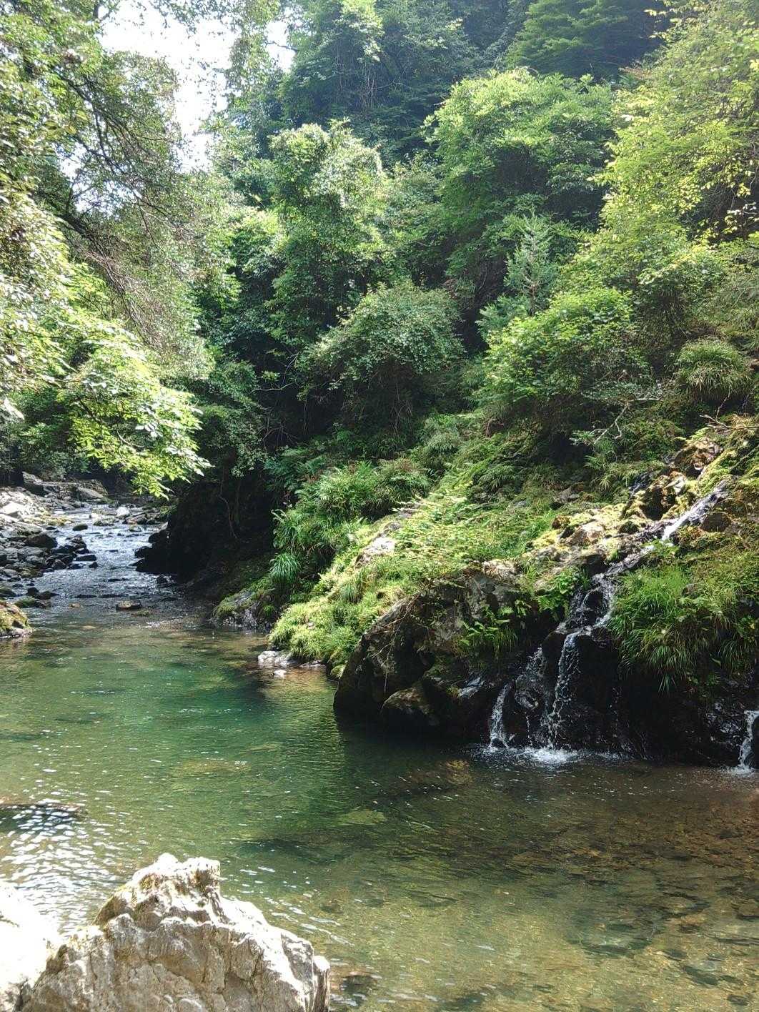 苔むした岩に流れる細い滝、なんだかちょっと風流です。
