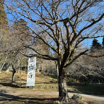 今年の登り納めはいつもの霊山へ、これで28回目
