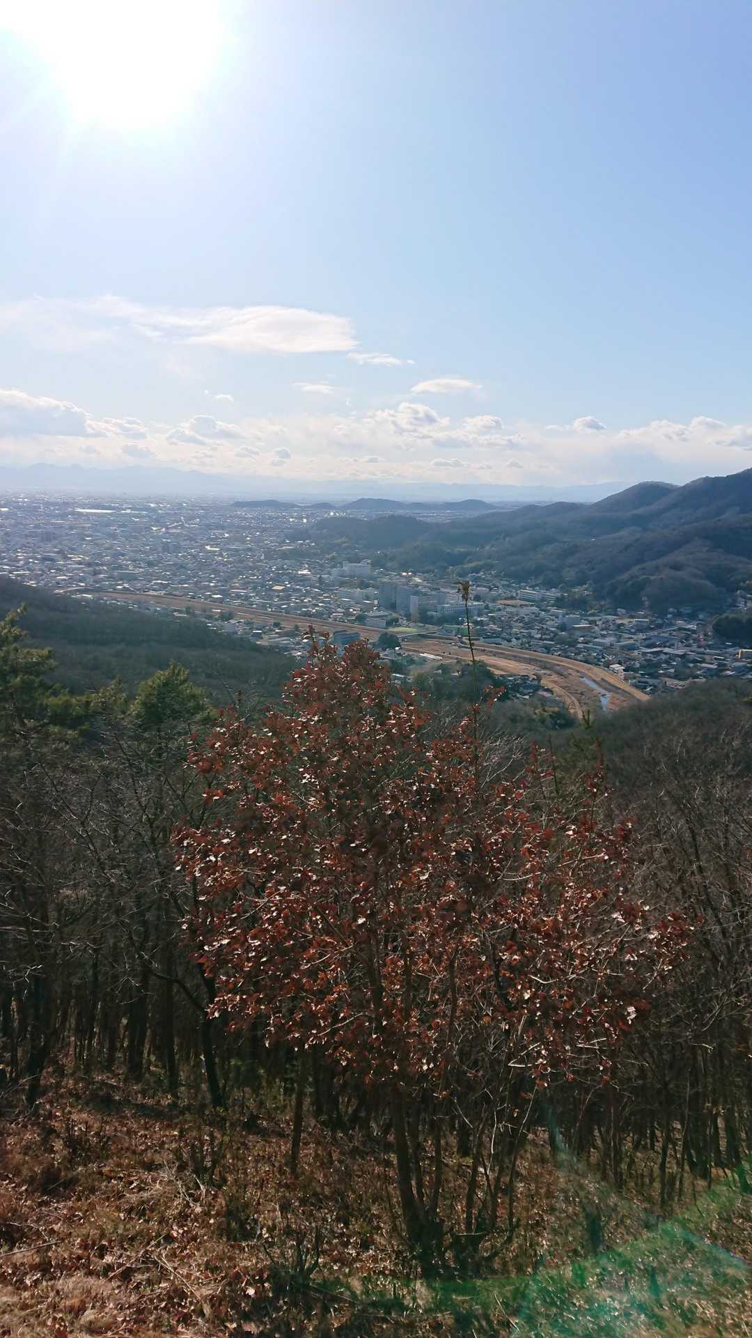 雨降山 往復コースの写真