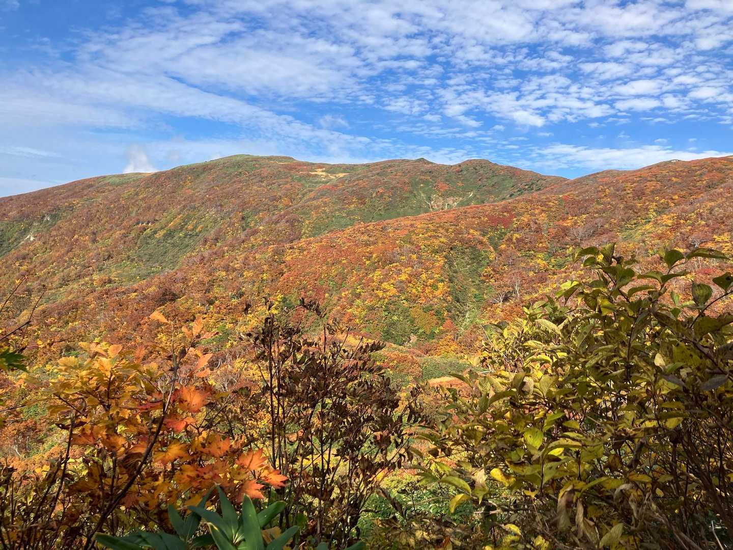 泡滝登山口-以東岳登山口-以東岳-オツボ峰 往復コースの写真