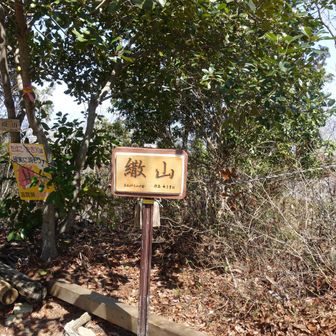 山頂。下山距離が短い。その分急坂。足腰がひびく。