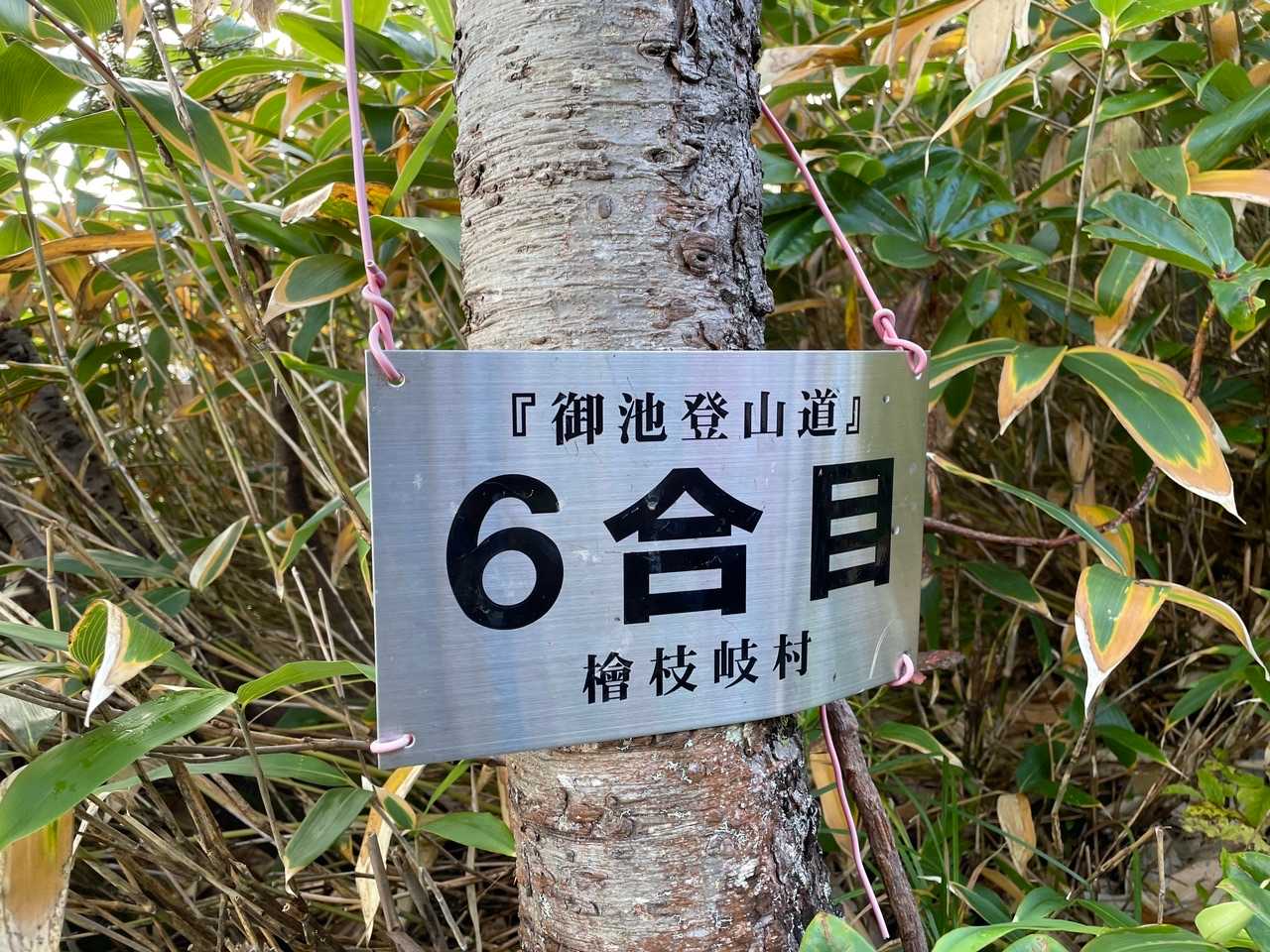 だいたい六合目あたりから 例によって寝不足あくび連発乙吉くん🥱🥱
行動食で糖分補給します