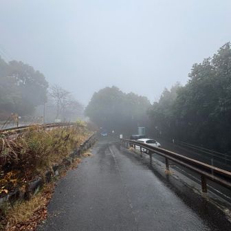 雨は、本降りなり、車は減ってる🚙
お疲れさまでした🤗