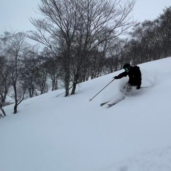 のざわなピクルス