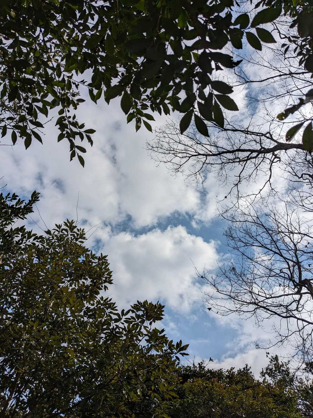 帰りに空を見上げる✨