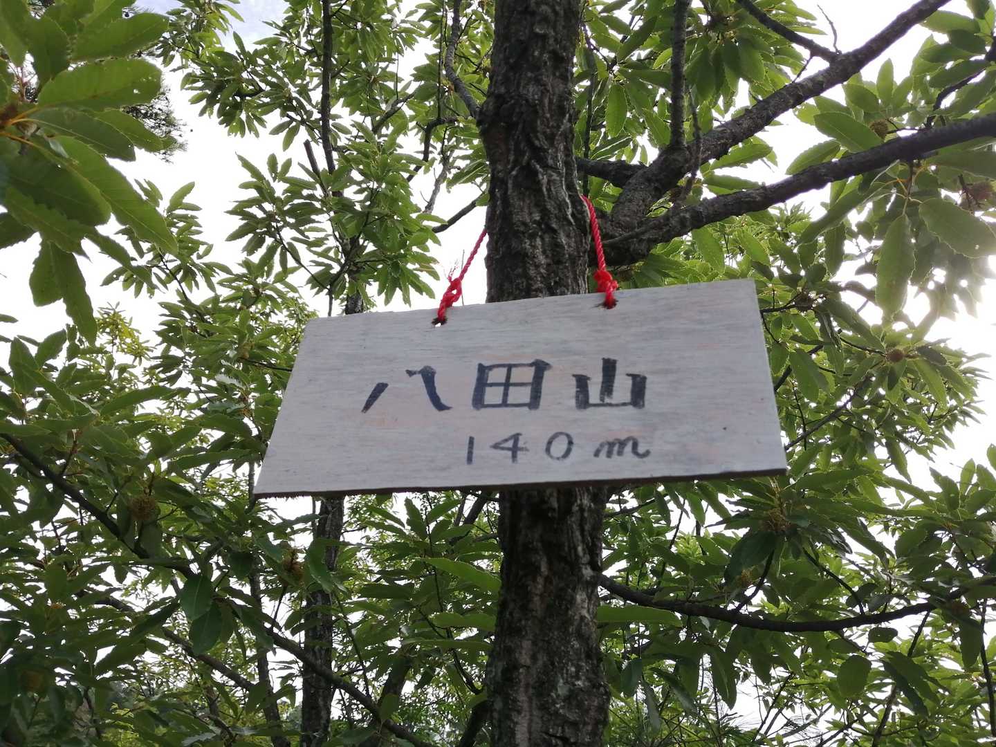 すぐに到着
標高低っ！