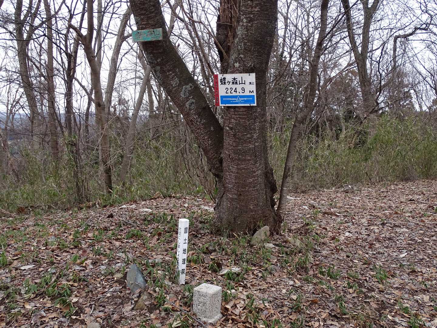 蝶ヶ森山山頂